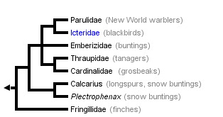 taxon links