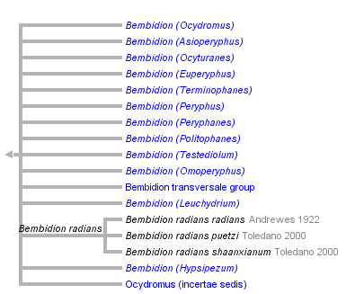 taxon links