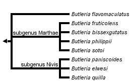 taxon links