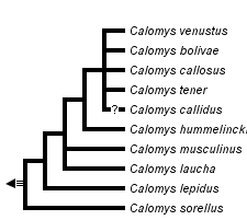 taxon links