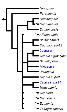 taxon links