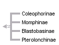 taxon links