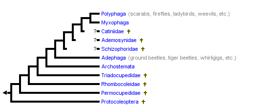 taxon links