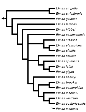 taxon links