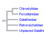 taxon links