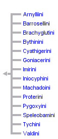 taxon links