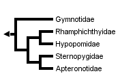 taxon links