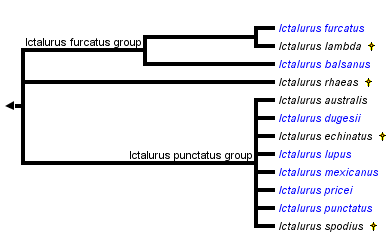 taxon links