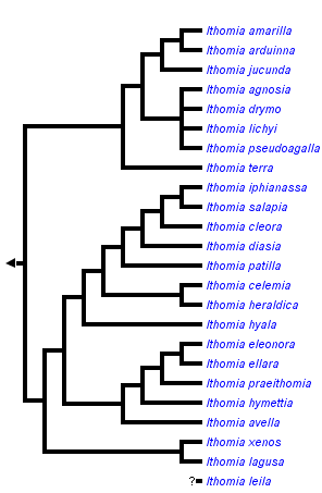 taxon links