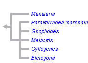 taxon links