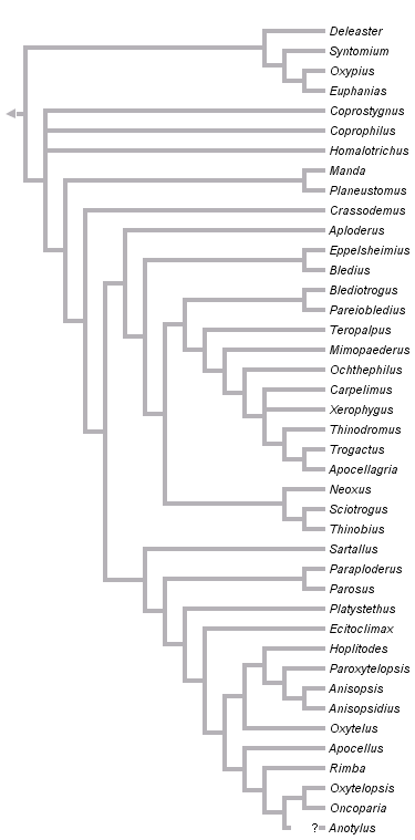 taxon links