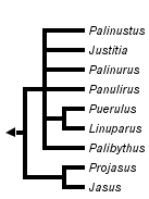 taxon links