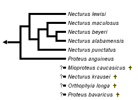 taxon links