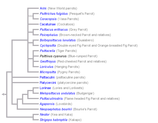 taxon links