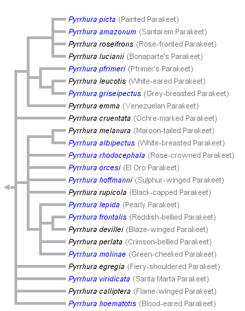 taxon links