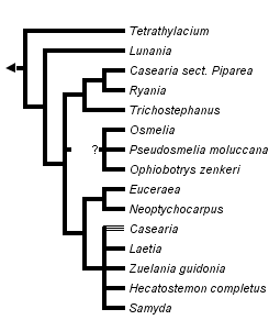 taxon links