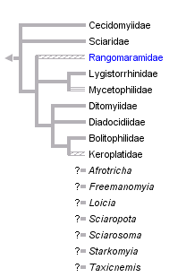 taxon links