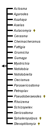 taxon links