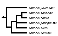 taxon links