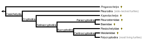 taxon links