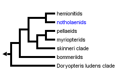 taxon links