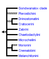 taxon links