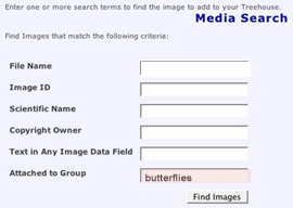 media search, attached to group