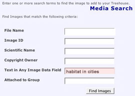 Do not type in whole sentences when searching for media in the ToL database