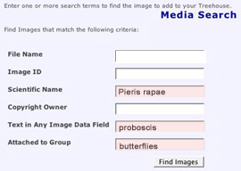 media search many categories
