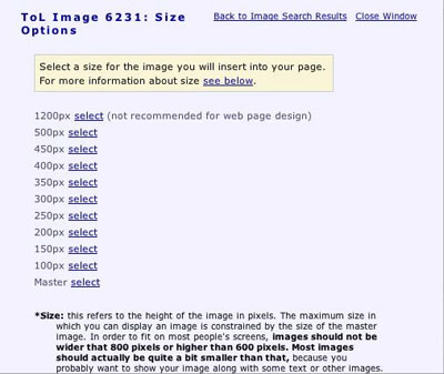 image size options
