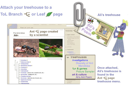 attaching your work to a branch of leaf page on the Tree of Life