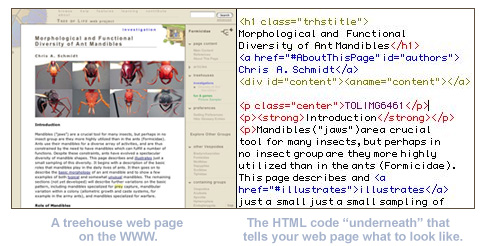 A web page and the HTML that is beneath it
